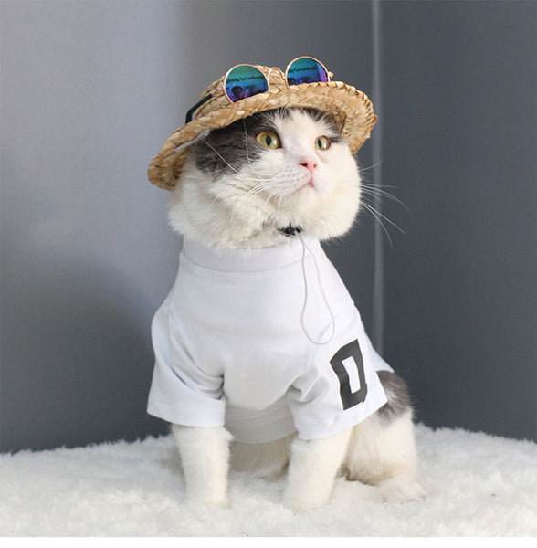 Cool Sunglasses For Your Cat