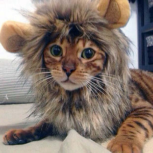 Cat Lion's Mane Costume