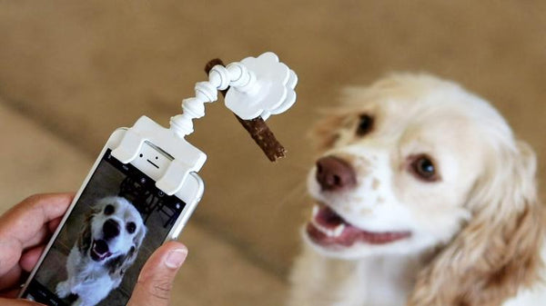 Cute Selfie Stick for Pets