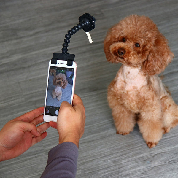 Cute Selfie Stick for Pets